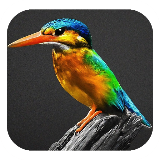 Photo Colorizer Pro