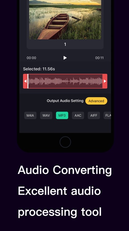 Vocal Separator - Audio Editor screenshot-3