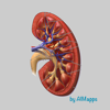 Creatinine (AIMapps) - A.I.M. Applications Informatisees en Medecine Inc