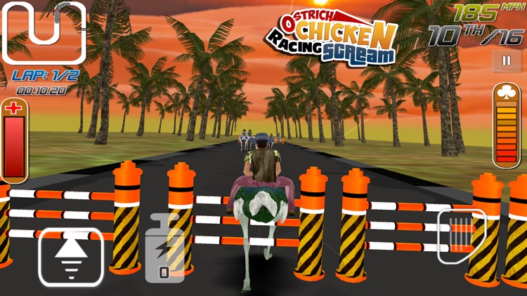 Ostrich Chicken Racing