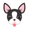 Boston Bull Terrier Keyboard