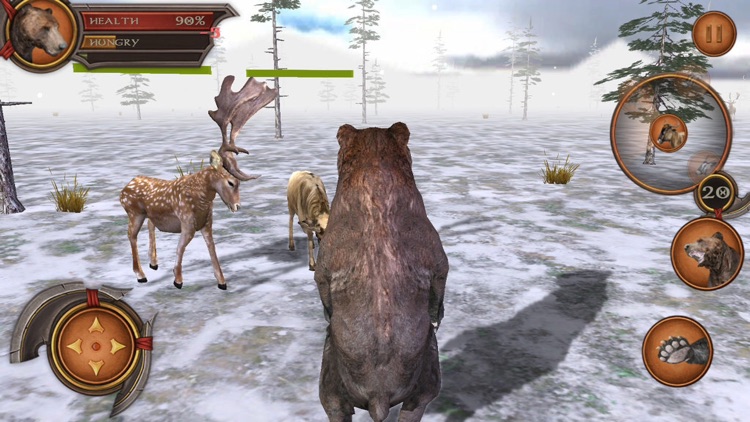 3D Bear Forest Simulation Premium