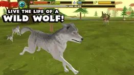 wildlife simulator: wolf iphone screenshot 1