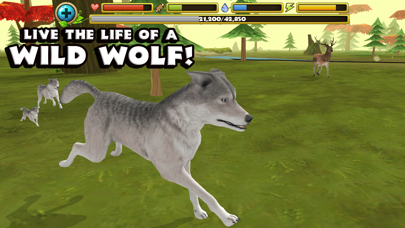 Wildlife Simulator: Wolf screenshot 1