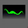 nessViewer icon