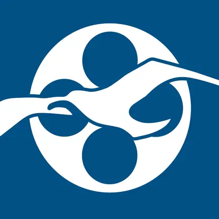 New Hampshire Film Festival Cheats