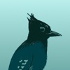 BC Bird Trail App icon