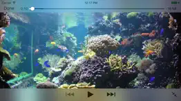 aquarium videos 4k iphone resimleri 2