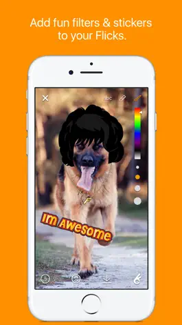 Game screenshot Flickpic - Share fun selfie photos apk