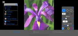 Game screenshot ColorHints Mosaic mod apk