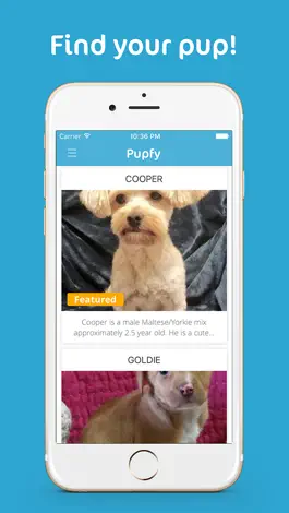 Game screenshot Pupfy - Find, Adopt & Rescue a Loyal Dog Companion apk