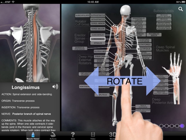 Muscle & Bone Anatomy 3D(圖1)-速報App