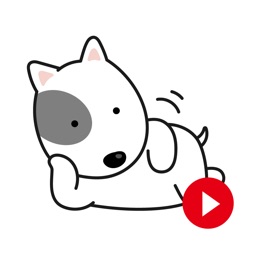 Cute dog Bull Terrier1