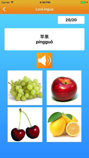 學有趣的中文 LuvLingua Pro