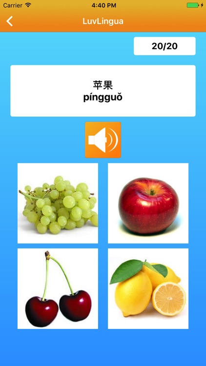 Learn Chinese Language LuvLingua Pro
