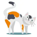 Memory Training: Cats App Support