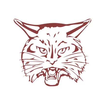 Brandywine Schools MI Читы