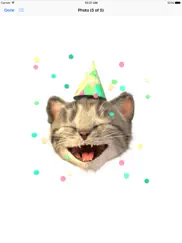 little kitten stickers ipad resimleri 4