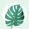 Plant Identifier - PlantMe App Positive Reviews