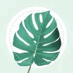 Plant Identifier - PlantMe App Contact