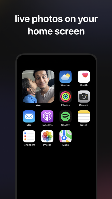 Vive Widget Screenshot