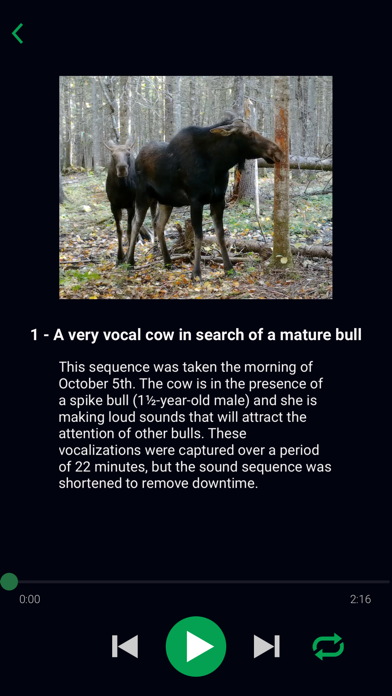 Natural Moose Calls Screenshot