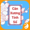 Icon Tử Vi Lượng Chỉ