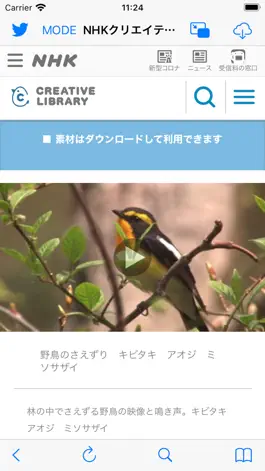 Game screenshot Video Saver Web Browser :iXpr apk