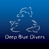 John P. Hoover - Deep Blue Divers Fish Guide アートワーク