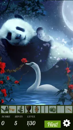 Hidden Object - Be Mine screenshot 1