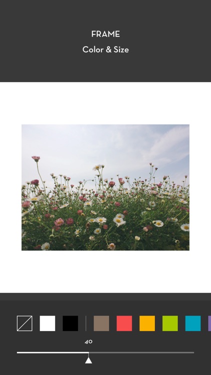Whitagram