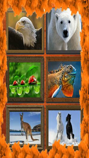 Jigsaw Puzzle: Animal(圖1)-速報App