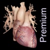 Cardiological Premium