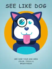 dog vision hd айпад изображения 1