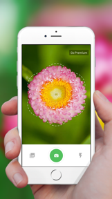 Plant Identification ++ screenshot