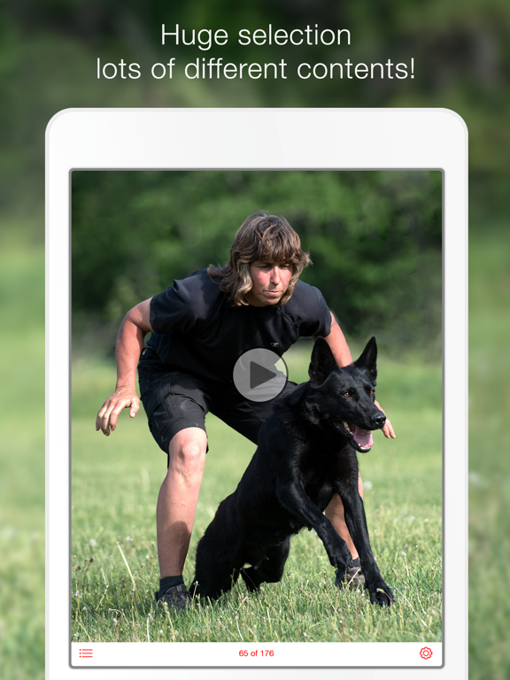 Screenshot #3 for Dog Training School -  Learn How to Train Puppies