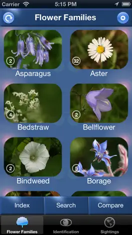 Game screenshot Wild Flower Id Netherlands mod apk
