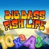 Big Bass Fish Life