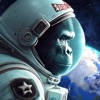 マッチ3:ゴリラと宇宙の旅 A GorillaOdyssey