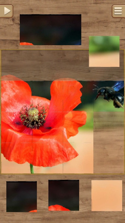 Fun Puzzle Games screenshot-3