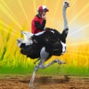 Ostrich Chicken Racing