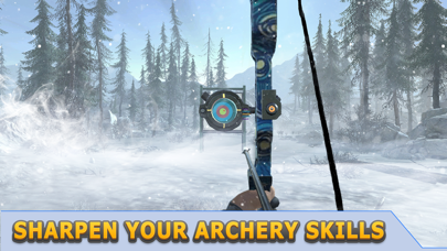 Archery Mania 3D! Screenshot