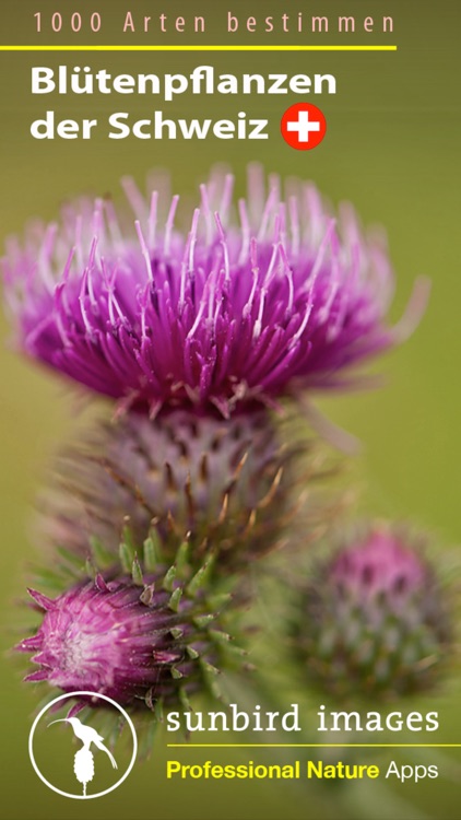 Blütenpflanzen Schweiz Blumen, Sträucher, Bäume