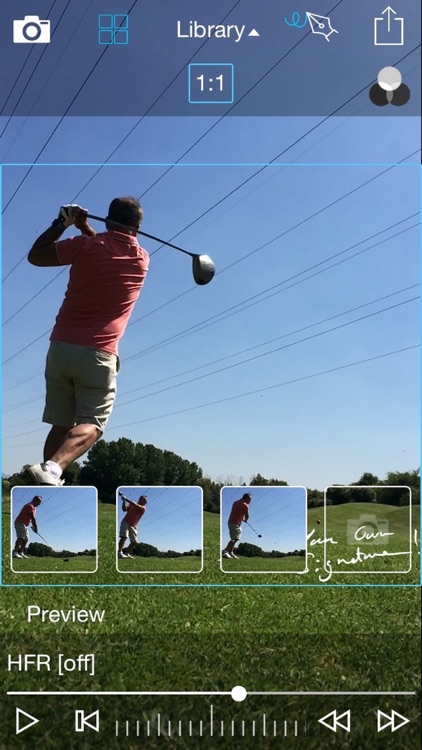 Swingfie
