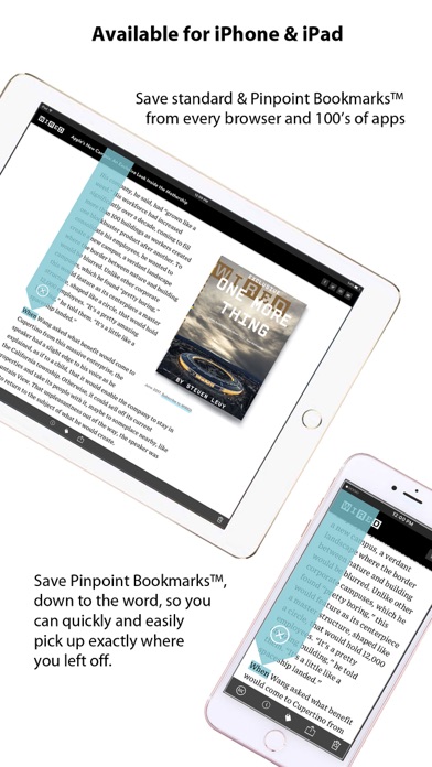 Pinpoint Bookmarking Screenshot
