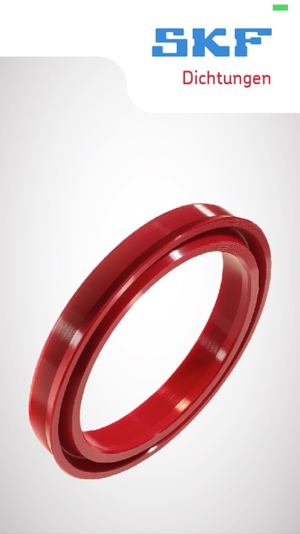 SKF Dichtungen