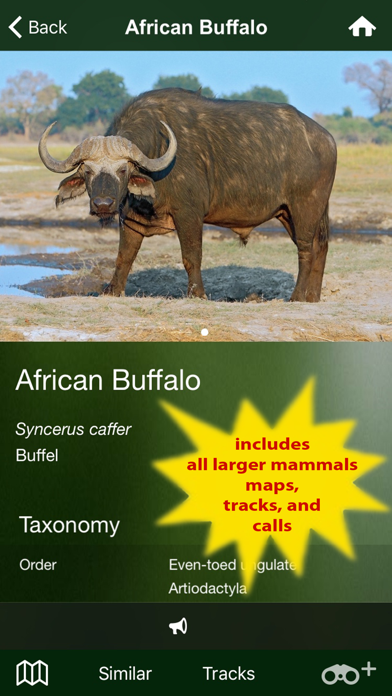 Screenshot #2 pour Mammal Guide of Southern Africa