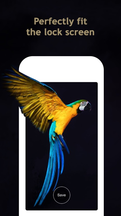 Wallpapers for Live Photos