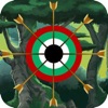 Arrow Game : Archery Master icon