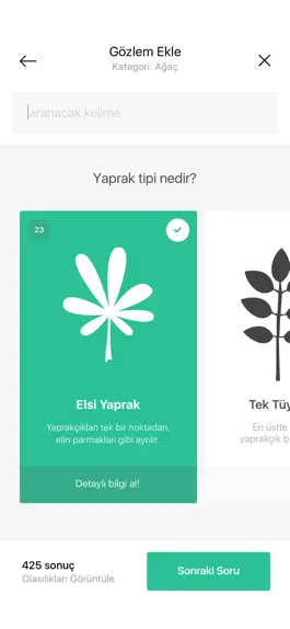 Game screenshot Doğa Kaşifi apk